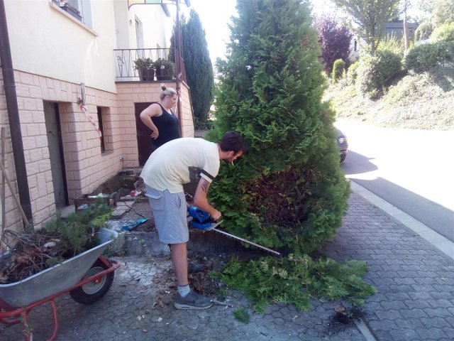 Bild von 