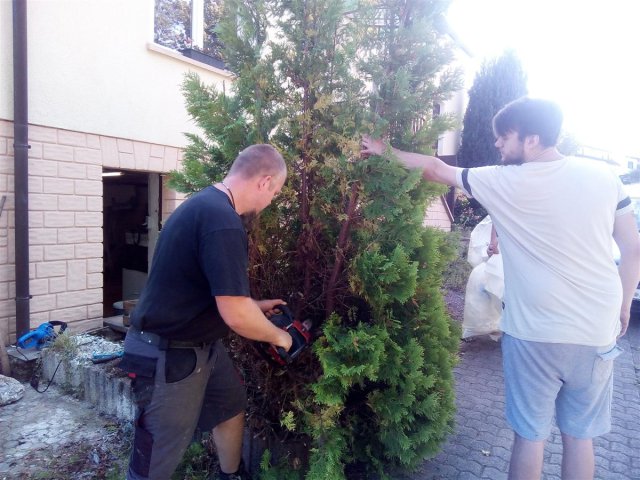 Bild von 